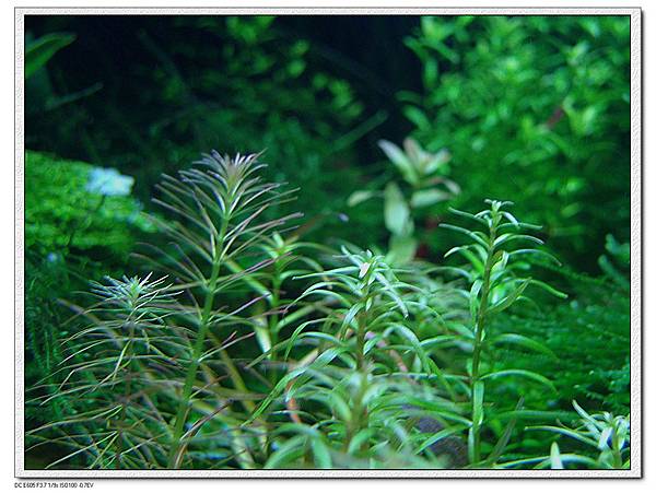 IMG_4019 IMG_4019