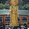 DSCF8982.JPG