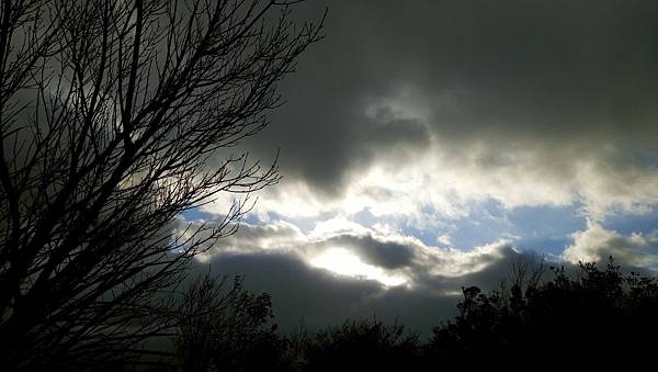 LINE_ALBUM_陽明山東西大縱走_221222_22.jpg LINE_ALBUM_陽明山東西大縱走_221222_22.jpg