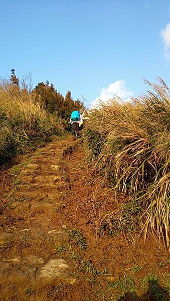 LINE_ALBUM_陽明山東西大縱走_221222_19.jpg LINE_ALBUM_陽明山東西大縱走_221222_19.jpg