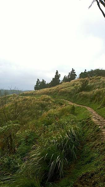 LINE_ALBUM_陽明山東西大縱走_221222_14.jpg LINE_ALBUM_陽明山東西大縱走_221222_14.jpg