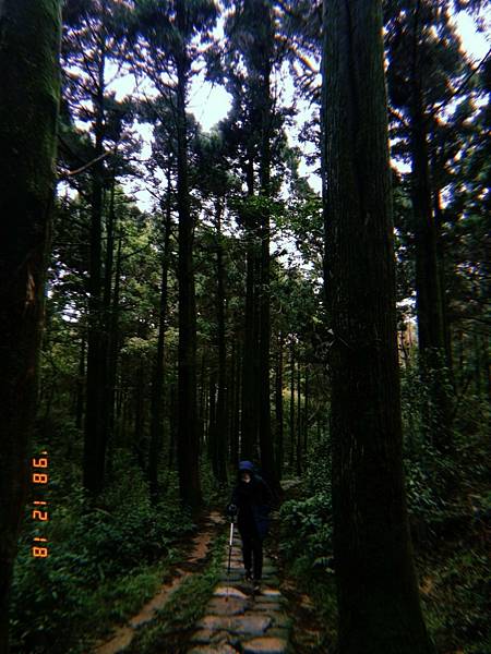 LINE_ALBUM_陽明山東西大縱走_221222_2.jpg LINE_ALBUM_陽明山東西大縱走_221222_2.jpg