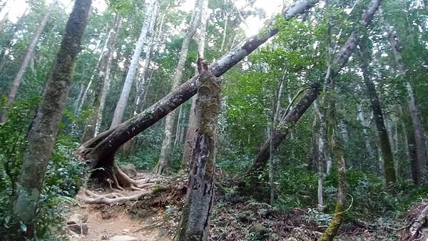 LINE_ALBUM_北得拉曼內🐦嘴_230105_207.jpg LINE_ALBUM_北得拉曼內🐦嘴_230105_207.jpg