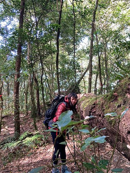 LINE_ALBUM_北得拉曼內🐦嘴_230105_113.jpg LINE_ALBUM_北得拉曼內🐦嘴_230105_113.jpg