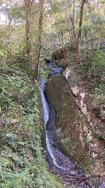 LINE_ALBUM_北得拉曼內🐦嘴_230105_125.jpg LINE_ALBUM_北得拉曼內🐦嘴_230105_125.jpg