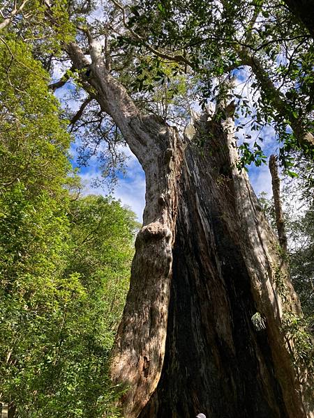 LINE_ALBUM_北得拉曼內🐦嘴_230105_127.jpg LINE_ALBUM_北得拉曼內🐦嘴_230105_127.jpg