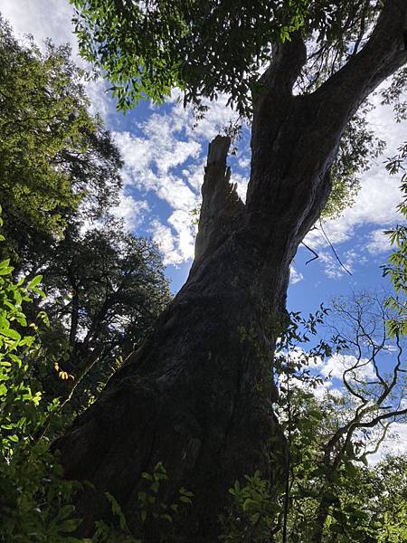 LINE_ALBUM_北得拉曼內🐦嘴_230105_126.jpg LINE_ALBUM_北得拉曼內🐦嘴_230105_126.jpg