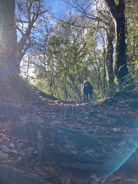 LINE_ALBUM_北得拉曼內🐦嘴_230105_61 - 複製.jpg LINE_ALBUM_北得拉曼內🐦嘴_230105_61 - 複製.jpg