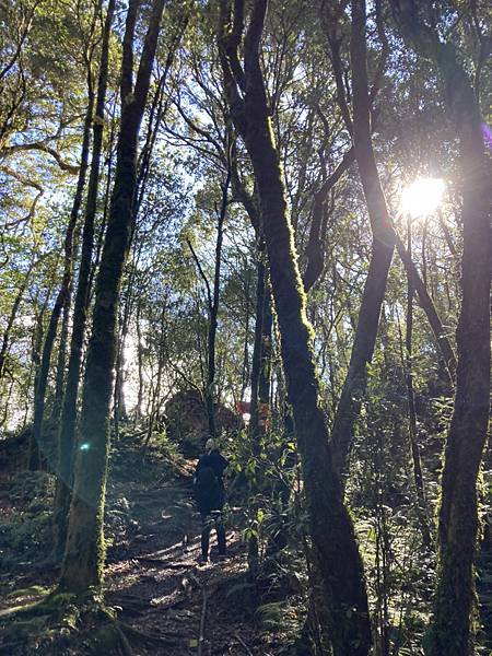 LINE_ALBUM_北得拉曼內🐦嘴_230105_59.jpg LINE_ALBUM_北得拉曼內🐦嘴_230105_59.jpg