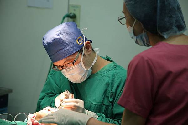 貓大爺-皺眉紋 (16) 貓大爺-皺眉紋 (16)