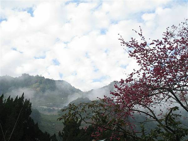 探尋盧山真面目 (68)-蜜月館大飯店-坐看雲起時.jpg