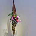 IFD台中花展 (11).jpg