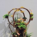 IFD台中花展 (25).jpg