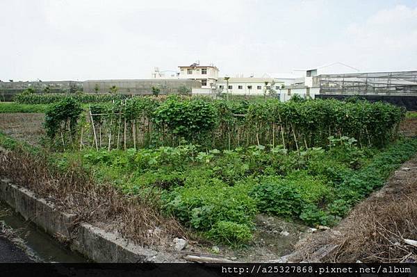 300坪三角子段都內田