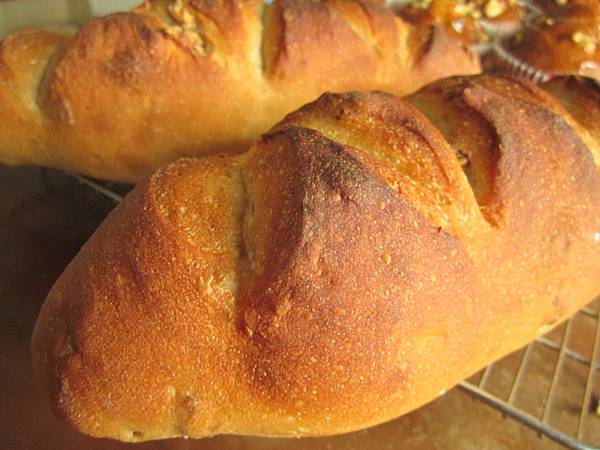 裸麥核桃麵包（３０％法國老麵）