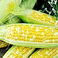 玉米6