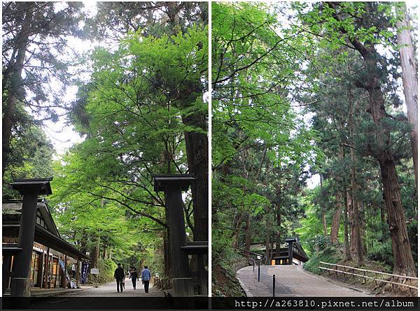 20171006_ 東北中尊寺12.jpg