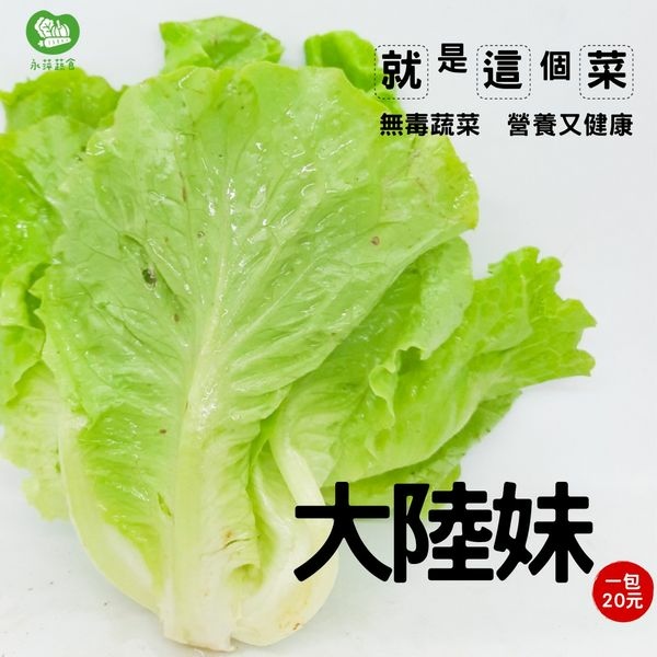 永萍蔬食自家菜園無毒蔬菜－大陸妹