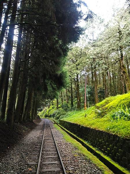 2020730 _眠月線-東東 (11).jpg