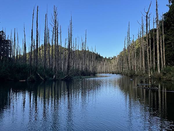 水漾森林 2022 0330~31 登山口集合 三四-煒-2.jpg