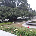 DSC09812_調整大小.JPG