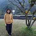 DSC09860_調整大小.JPG