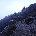 DSC00025_調整大小.JPG