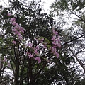 DSC00094_調整大小.JPG