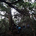 DSC01045_調整大小.JPG