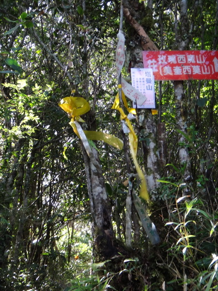DSC01141_調整大小.JPG