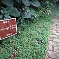 DSC09250_調整大小.JPG