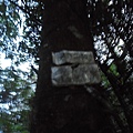 DSC00157_調整大小.JPG