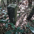 DSC03786_調整大小.JPG