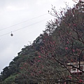 DSC04249_調整大小.JPG