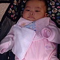 20100304032.JPG