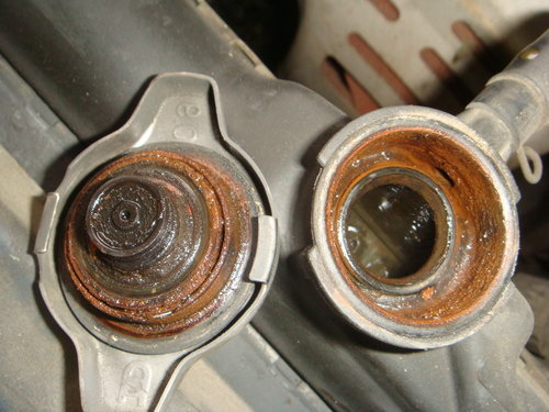 419775284_m.jpg 419775284_m.jpg