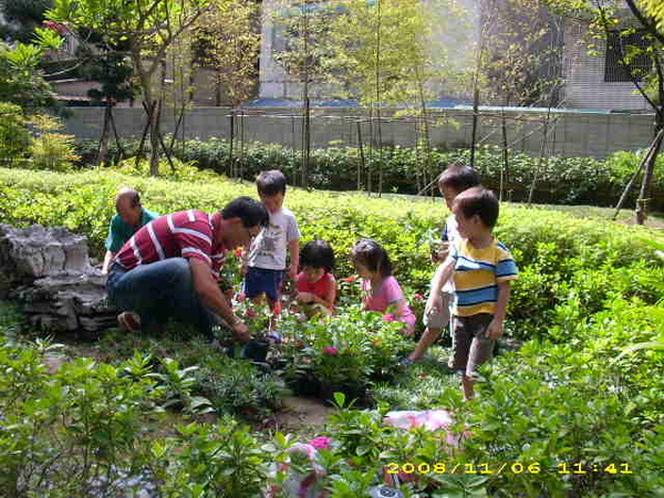 971106社區植栽實景 (9).JPG