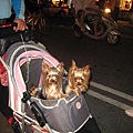 IMG_4699.JPG