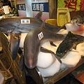 IMG_4733.JPG