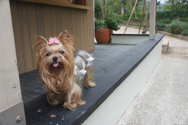 DSC09437 (複製).JPG