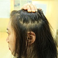 20190218 (6).JPG