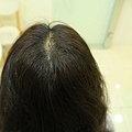 20190218 (18).JPG
