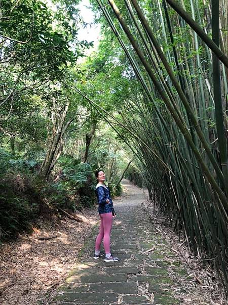 鯉魚山、忠勇山登山步道