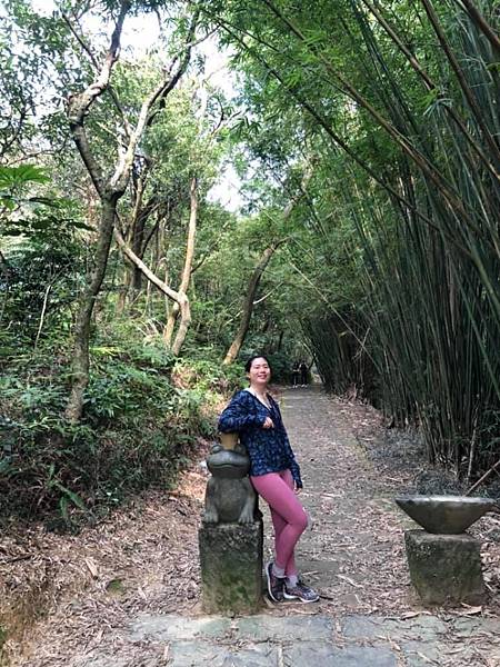 鯉魚山、忠勇山登山步道