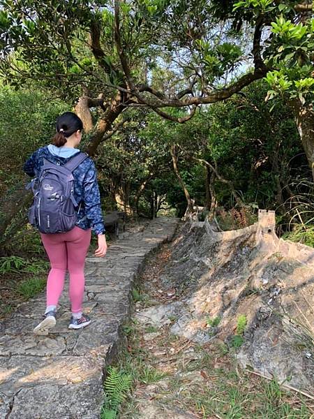 鯉魚山、忠勇山登山步道