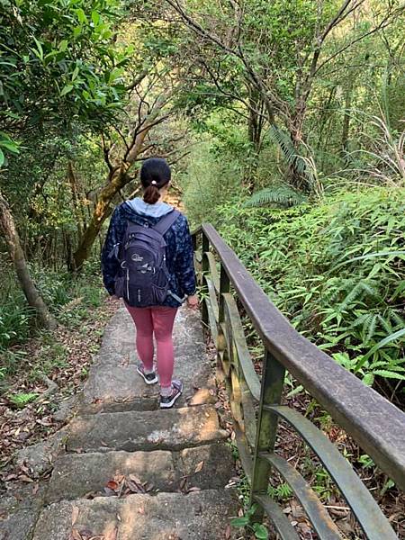 鯉魚山、忠勇山登山步道