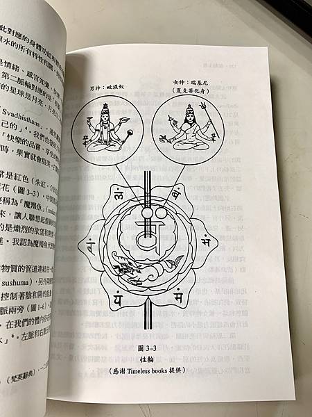 Wheels of Life脈輪全書