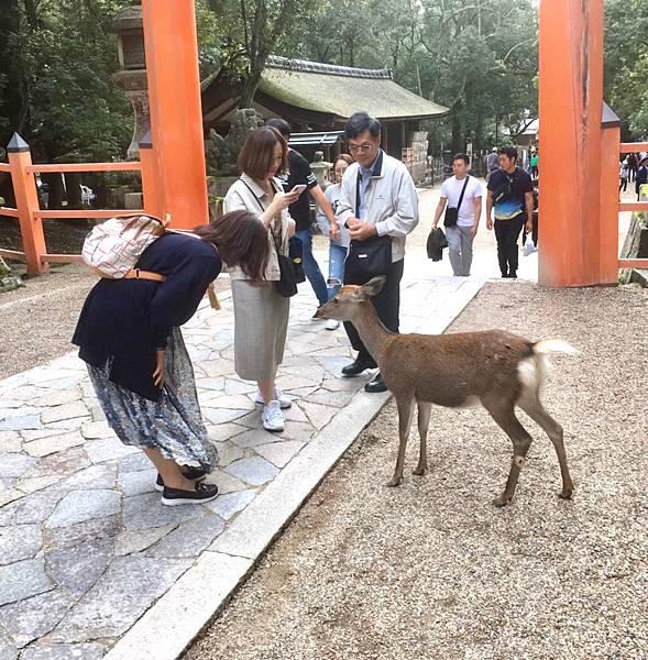 奈良古都