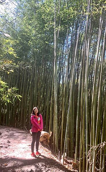 霞克羅步道養老段