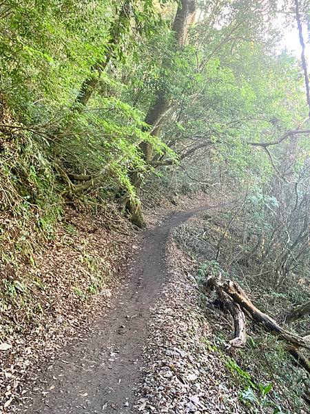 霞克羅步道養老段